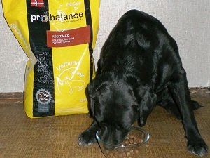 пробаланс корм для собак купить