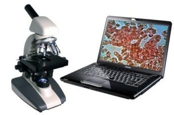 Гемосканирование