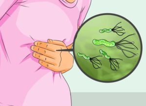 Бактерия Helicobacter Pylori