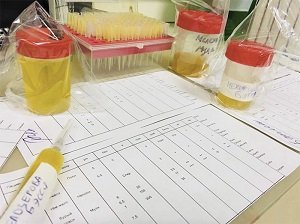 как собрать мочу у собаки на анализ