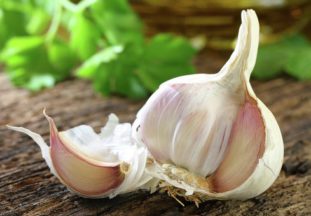 С помощью каких народных средств можно избавиться от глистов?