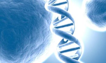 На сегодня ПЦР - это «золотой стандарт» выявления возбудителей любого вида инфекции в организме