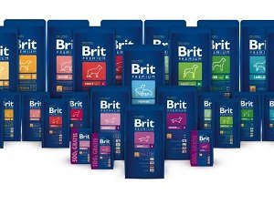 корм для собак брит купить