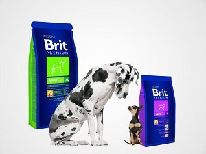сухой корм брит для собак