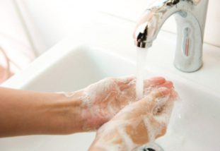 Симптомы и источники инфицирования toxoplasma gondii