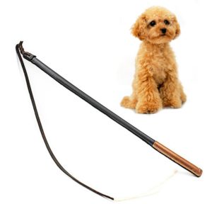 Можно ли бить собаку в воспитательных целях?