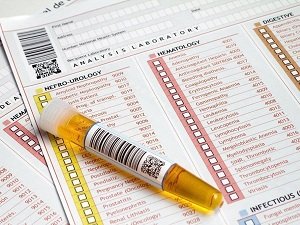 сдать анализ мочи собаке