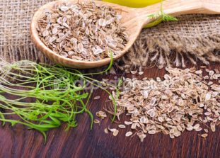 Как с помощью семян укропа избавиться от паразитов?