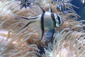 Приятное соседство